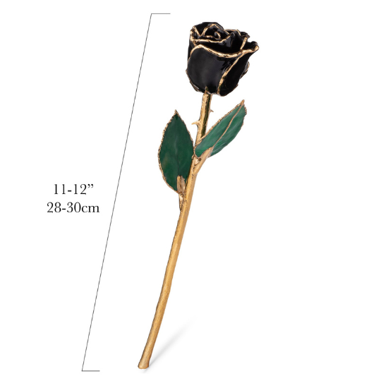 24K Gold Forever Rose | 7 Roses