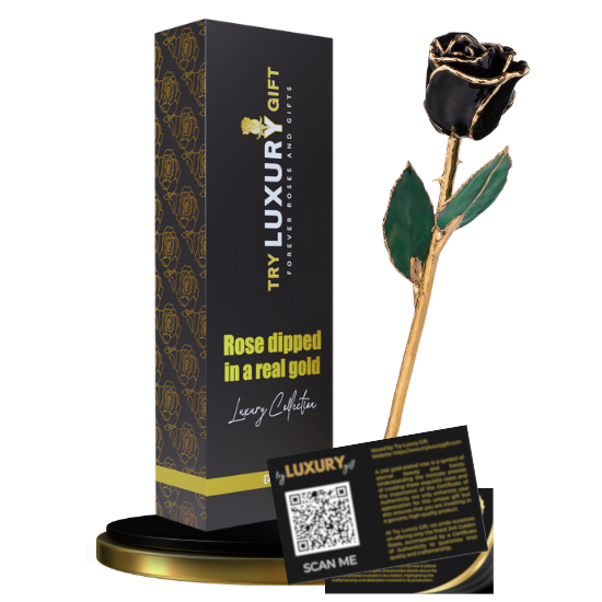 24K Gold Forever Rose | 7 Roses
