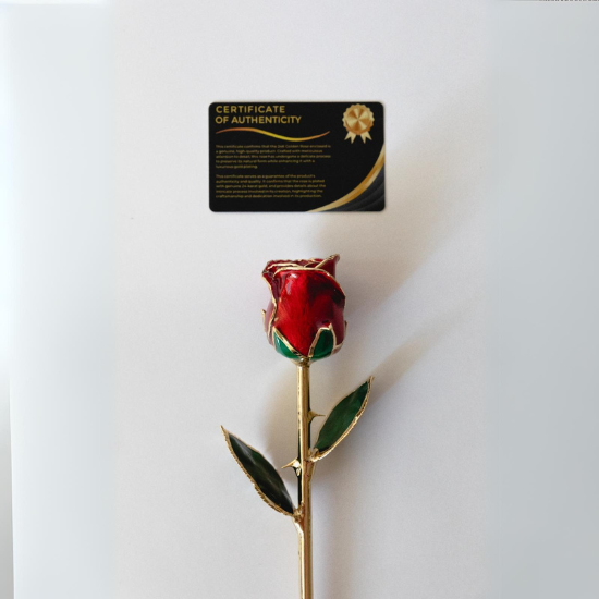 24k gold dipped rose red with certificate of authenticity