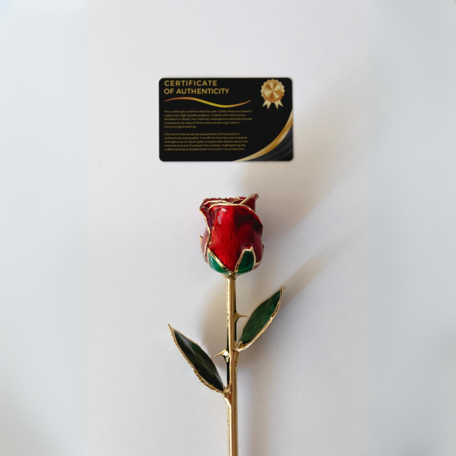 24k gold dipped rose red with certificate of authenticity landing