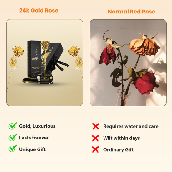 24k gold dipped rose vs normal red rose comparision