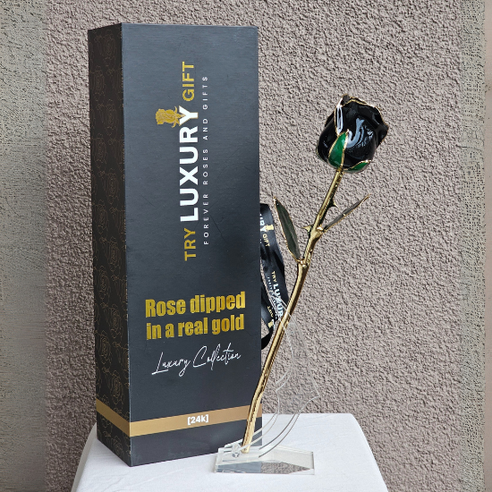 24K Gold Forever Rose | Black