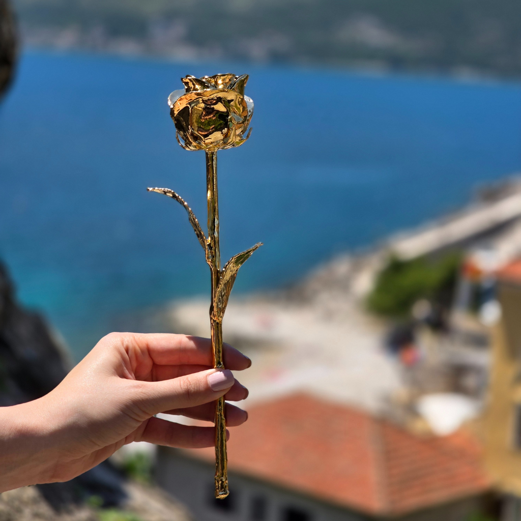Try Luxury Gift Forever Rose In Close Beautiful