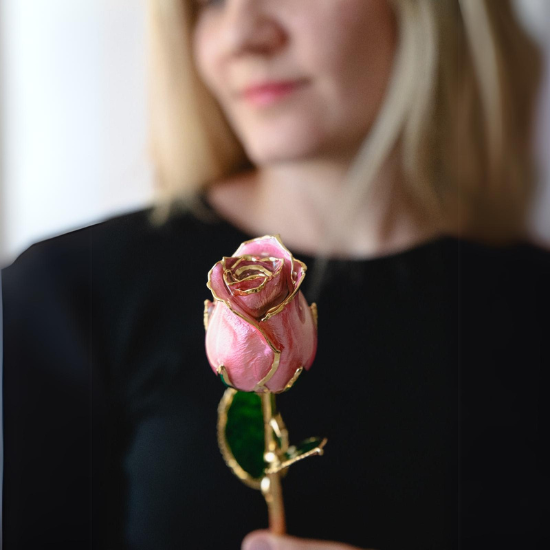 forever rose pink girl holding it