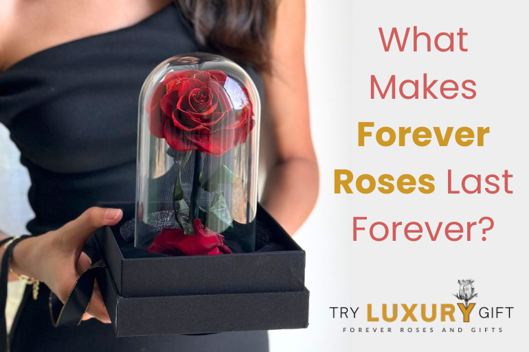 What makes Forever Roses last forever
