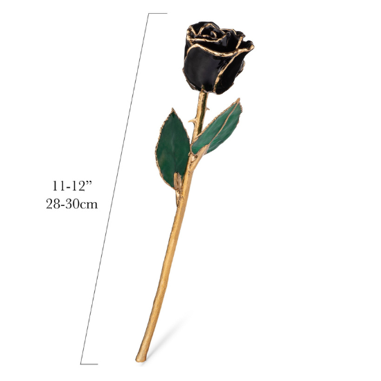 24K Gold Forever Rose | Black