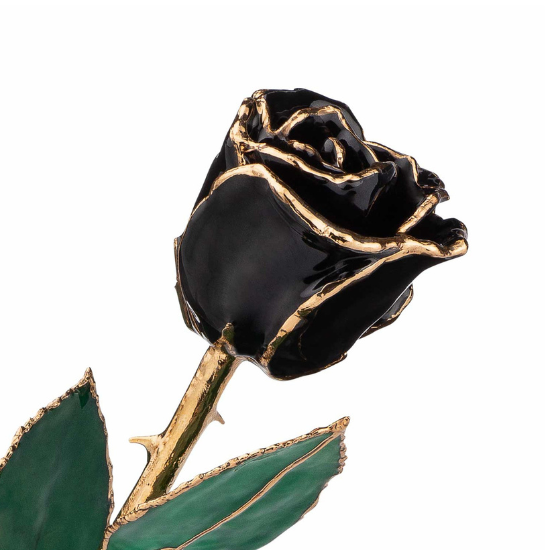 24K Gold Forever Rose | Black