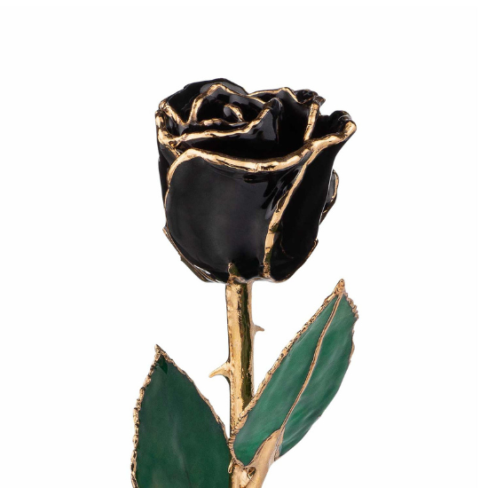 24K Gold Forever Rose | Black