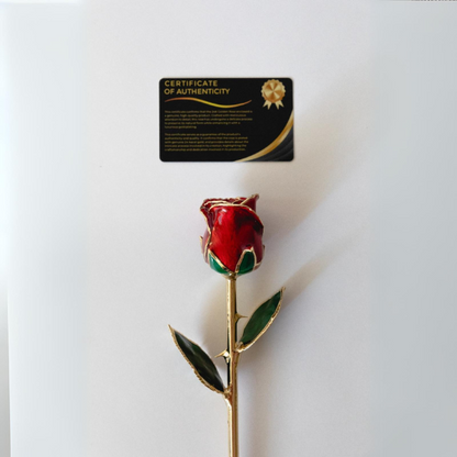 24k gold dipped rose red with certificate of authenticity