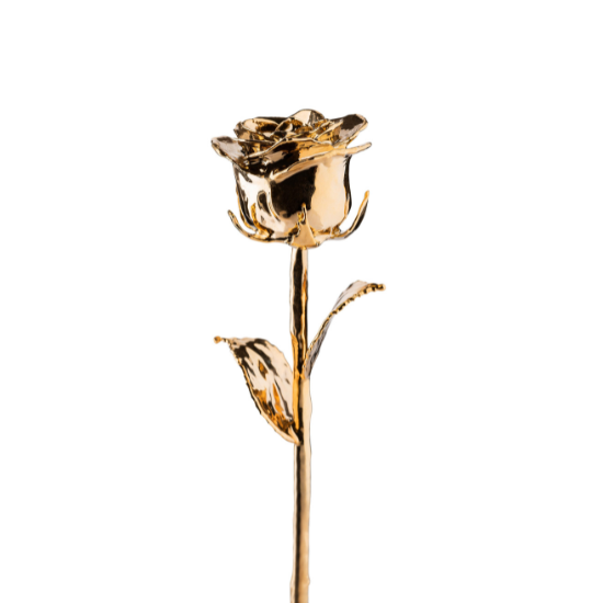 24k gold forever rose in close straight