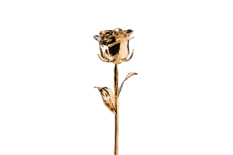 24K Gold Forever Rose | 7 Roses