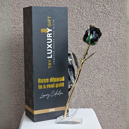 24K Gold Forever Rose | Black