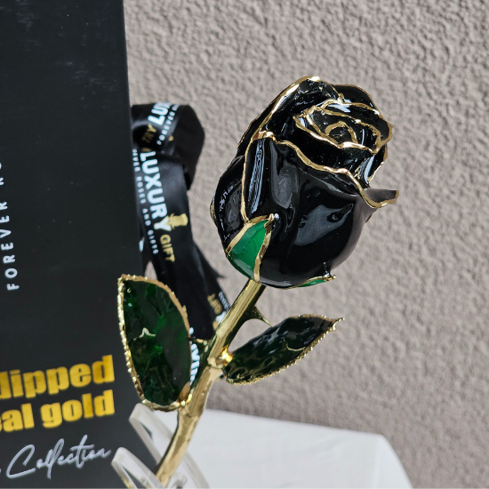 24K Gold Forever Rose | Black