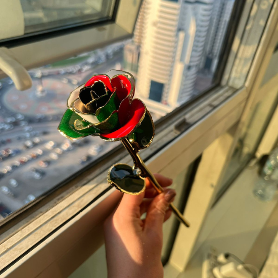 Kuwait Flag Forever Rose