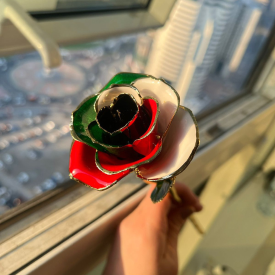 Kuwait Flag Rose In Close