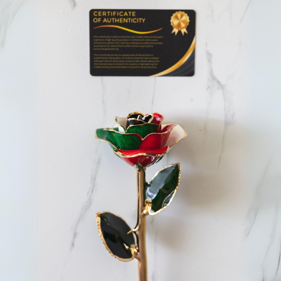 Kuwait Flag rose with certificate