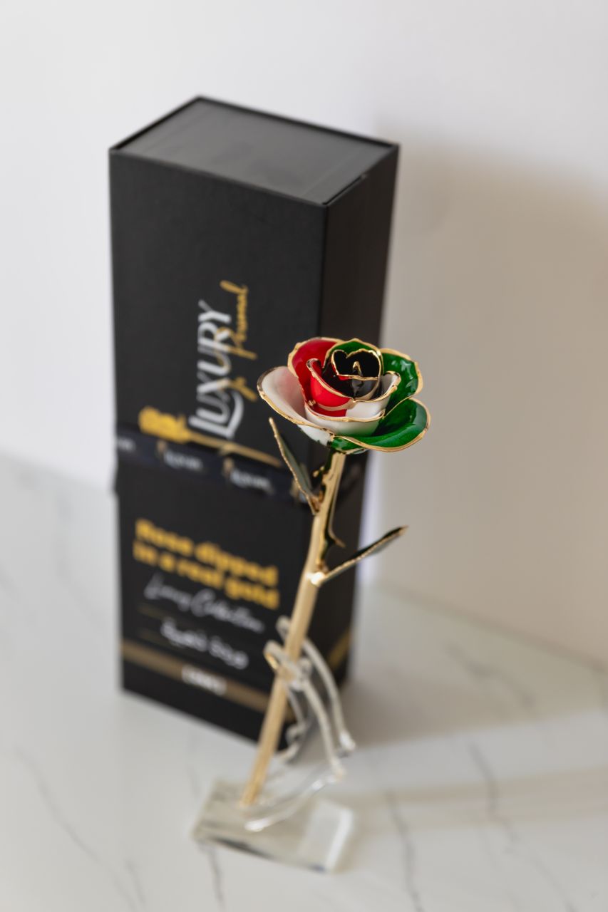 FREE GIFT | 24K Gold Forever Rose | UAE Flag Colors