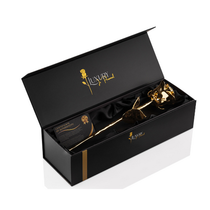 try luxury gift box open with 24k golden rose inside